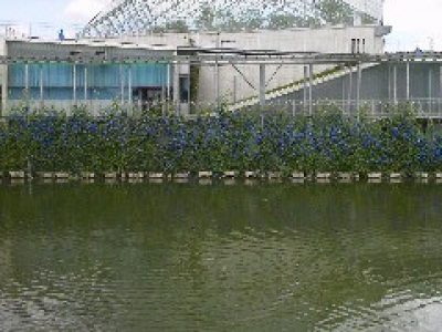 なかがわ水遊園